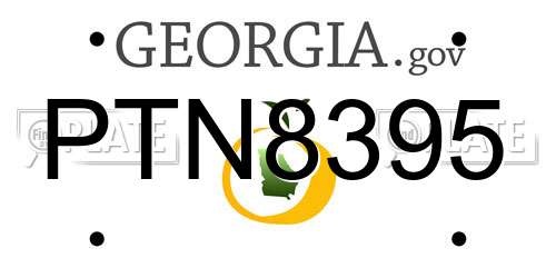 PTN8395 Georgia License Plate