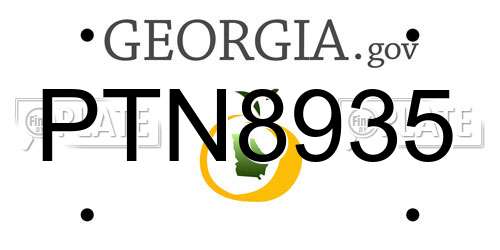 PTN8935 Georgia License Plate
