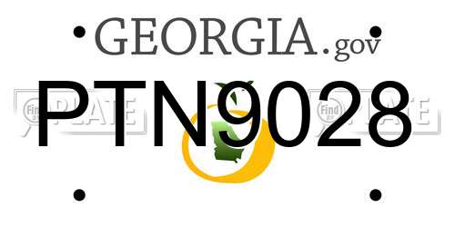 PTN9028 Georgia License Plate