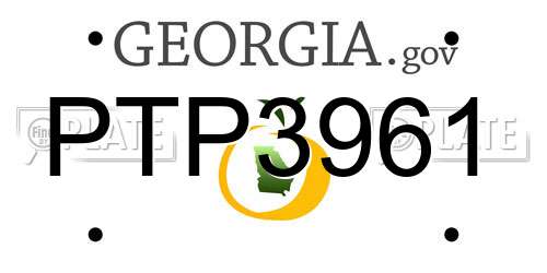 PTP3961 Georgia License Plate