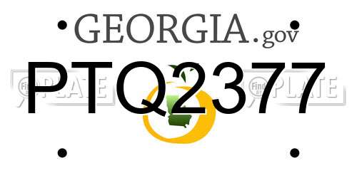 PTQ2377 Georgia License Plate