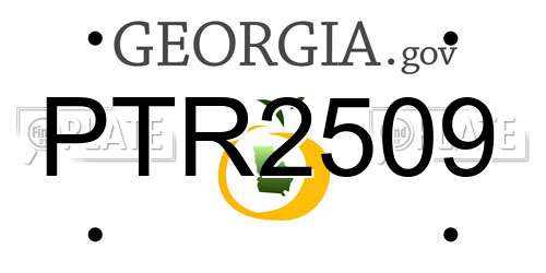 PTR2509 Georgia License Plate