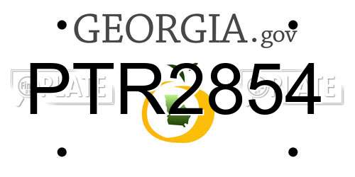 PTR2854 Georgia License Plate