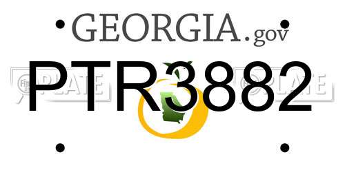 PTR3882 Georgia License Plate