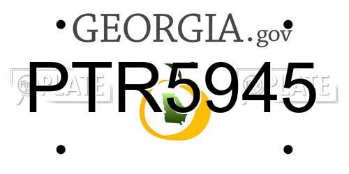 PTR5945 Georgia License Plate