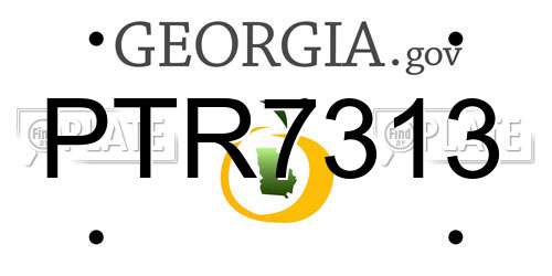 PTR7313 Georgia License Plate