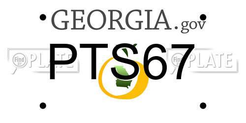 PTS67 Georgia License Plate