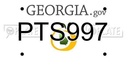 PTS997 Georgia License Plate