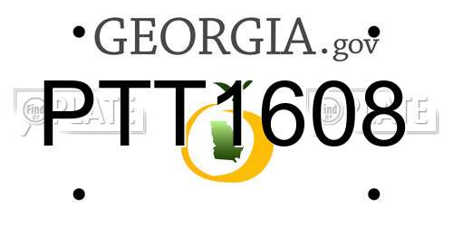 PTT1608 Georgia License Plate
