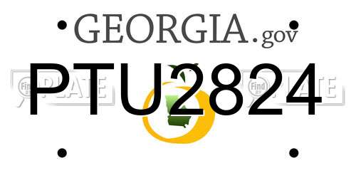 PTU2824 Georgia License Plate