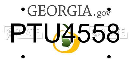 PTU4558 Georgia License Plate