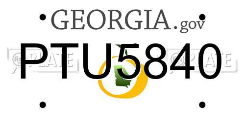 PTU5840 Georgia License Plate