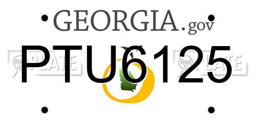 PTU6125 Georgia License Plate