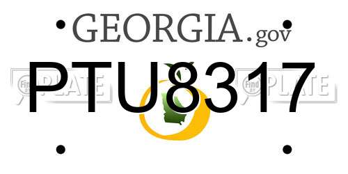 PTU8317 Georgia License Plate