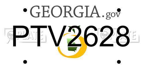 PTV2628 Georgia License Plate