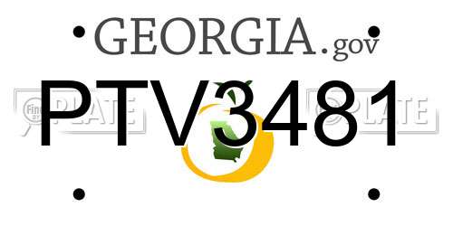 PTV3481 Georgia License Plate