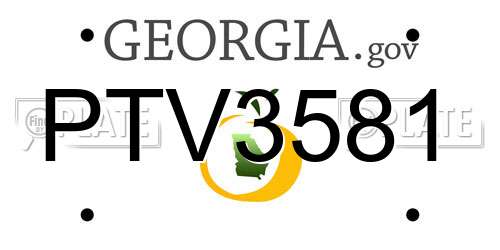 PTV3581 Georgia License Plate