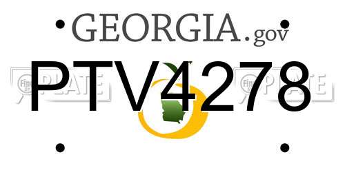 PTV4278 Georgia License Plate