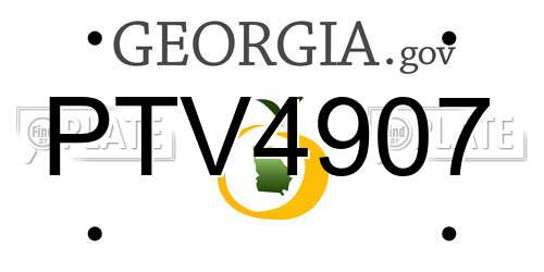 PTV4907 Georgia License Plate