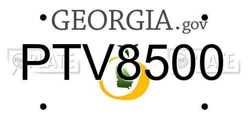 PTV8500 Georgia License Plate