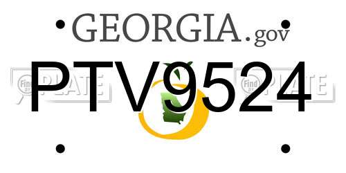 PTV9524 Georgia License Plate