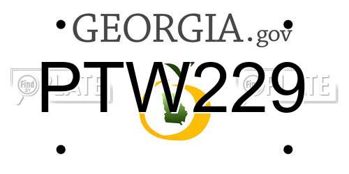 PTW229 Georgia License Plate