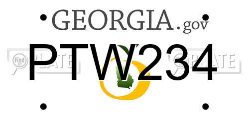 PTW234 Georgia License Plate