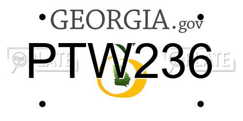 PTW236 Georgia License Plate