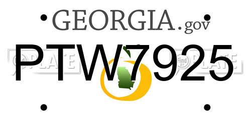 PTW7925 Georgia License Plate