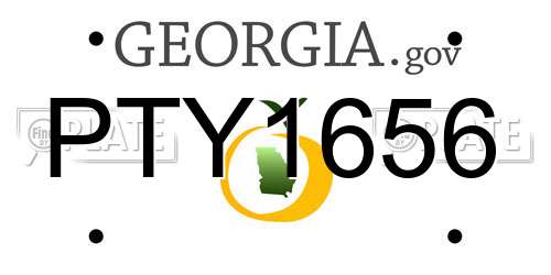 PTY1656 Georgia License Plate