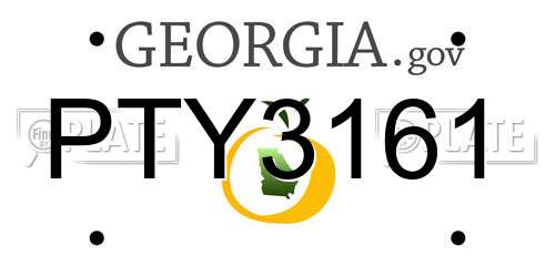 PTY3161 Georgia License Plate