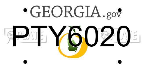 PTY6020 Georgia License Plate