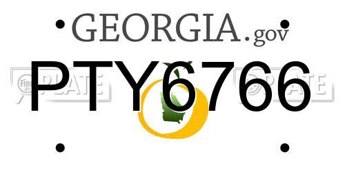 PTY6766 Georgia License Plate