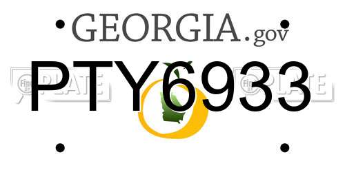 PTY6933 Georgia License Plate