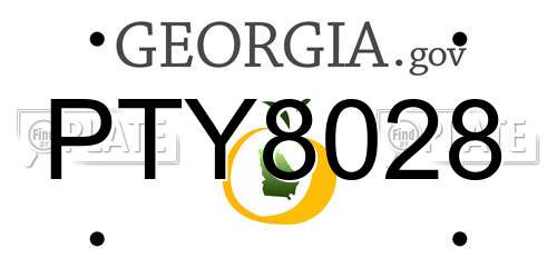 PTY8028 Georgia License Plate