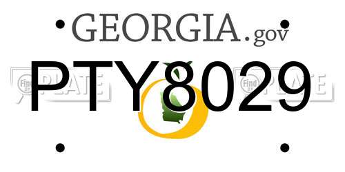 PTY8029 Georgia License Plate