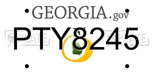 PTY8245 Georgia License Plate