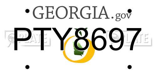 PTY8697 Georgia License Plate