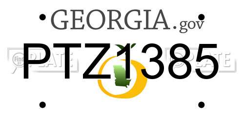 PTZ1385 Georgia License Plate