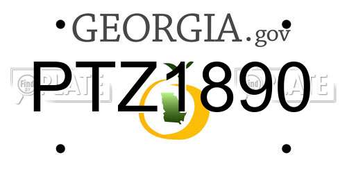 PTZ1890 Georgia License Plate