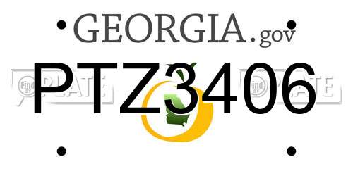 PTZ3406 Georgia License Plate