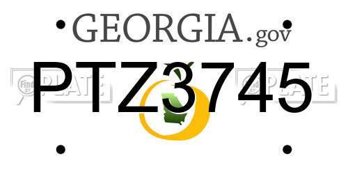 PTZ3745 Georgia License Plate
