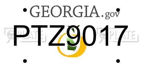 PTZ9017 Georgia License Plate