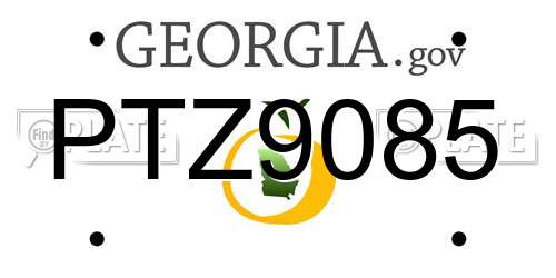 PTZ9085 Georgia License Plate