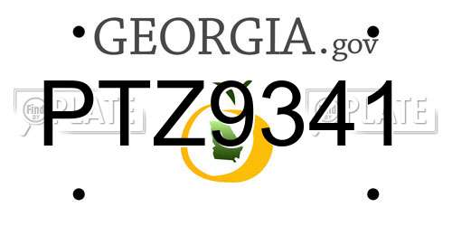 PTZ9341 Georgia License Plate