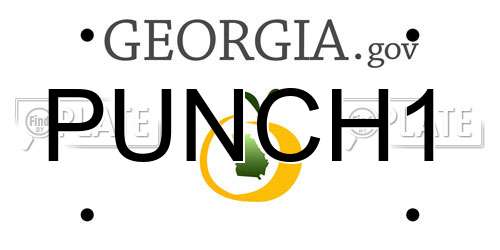 PUNCH1 Georgia License Plate