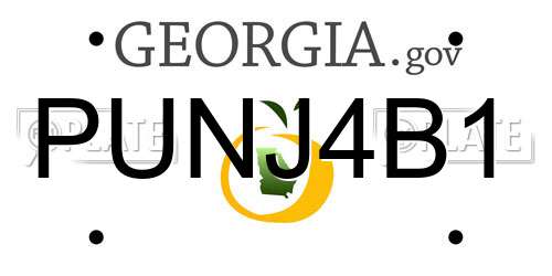 PUNJ4B1 Georgia License Plate