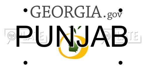 PUNJAB Georgia License Plate