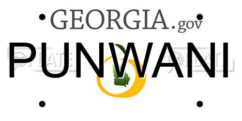PUNWANI Georgia License Plate