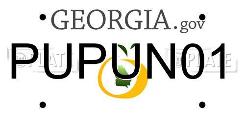 PUPUN01 Georgia License Plate